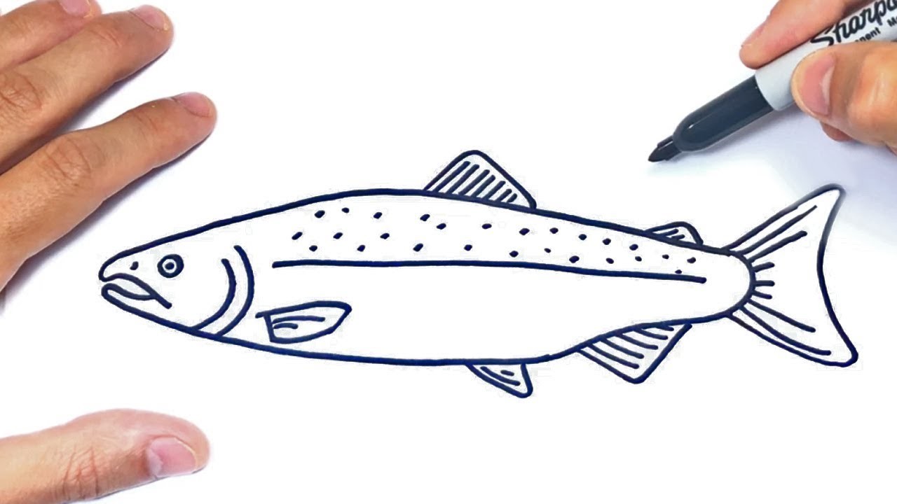 Cómo dibujar un Salmon Paso a Paso | Dibujo de Salmon Pez