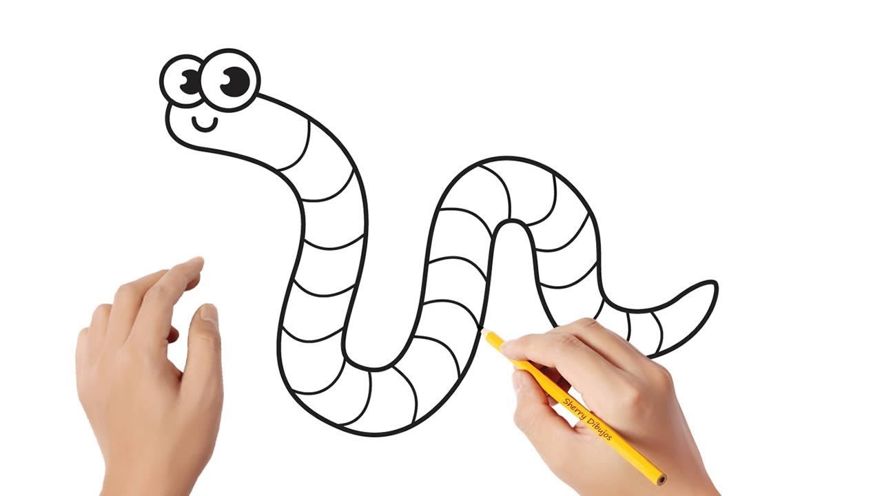 Cómo dibujar un gusano | Dibujos sencillos