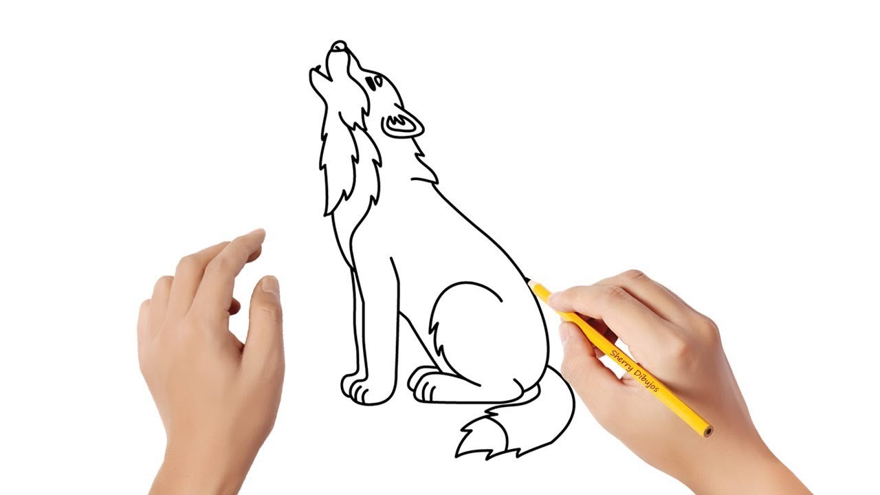 Cómo dibujar un lobo | Dibujos sencillos