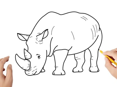 Cómo dibujar un rinoceronte | Dibujos sencillos
