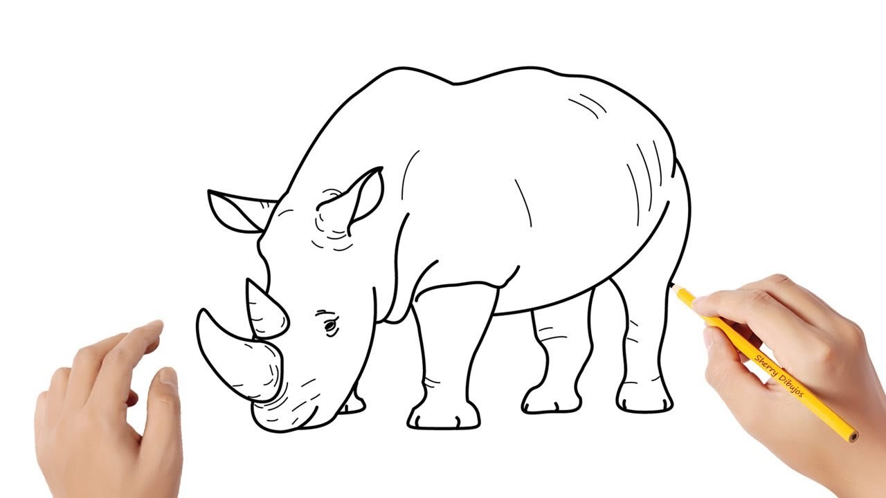 Cómo dibujar un rinoceronte | Dibujos sencillos