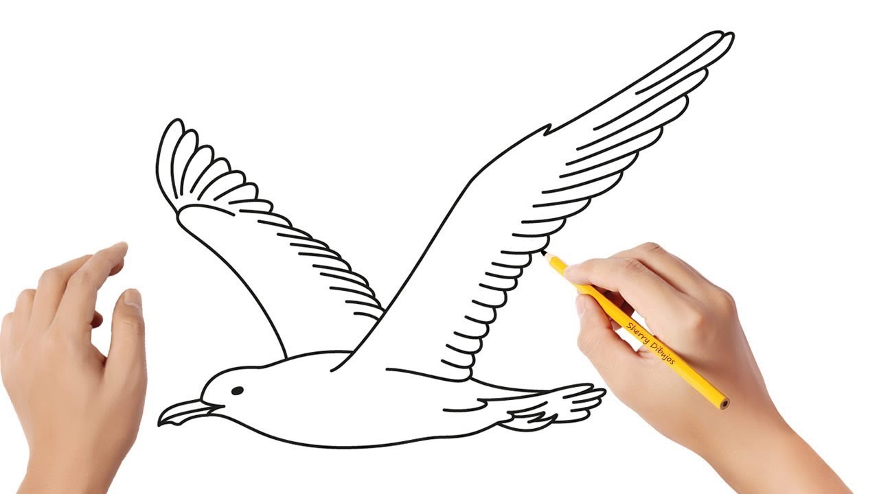Cómo dibujar una gaviota | Dibujos sencillos