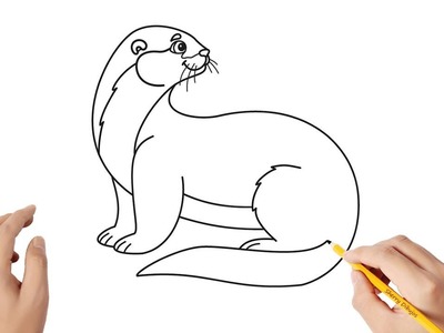 Cómo dibujar una nutria | Dibujos sencillos
