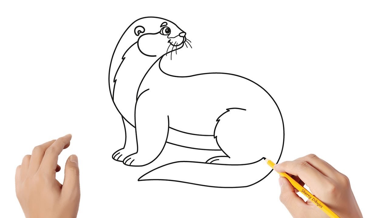 Cómo dibujar una nutria | Dibujos sencillos