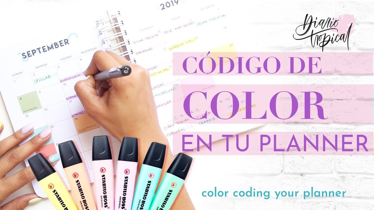 Como usar código de color en tu planner | #planwithme | Muy Mila Planner | Diario Tropical