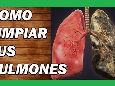 ???? Tratamientos Naturales Para La FIBROSIS PULMONAR