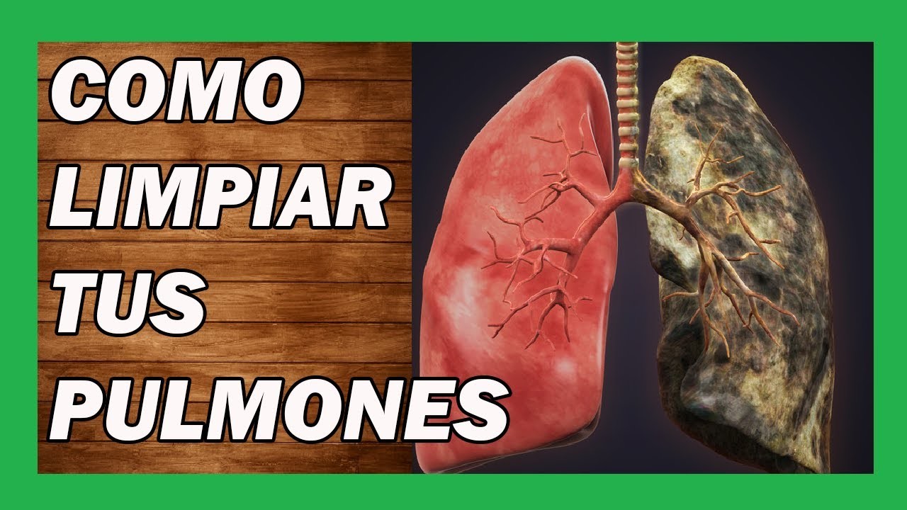 ???? Tratamientos Naturales Para La FIBROSIS PULMONAR