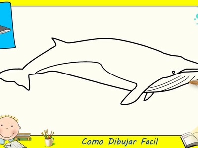 Como dibujar una ballena FACIL paso a paso para niños y principiantes 2