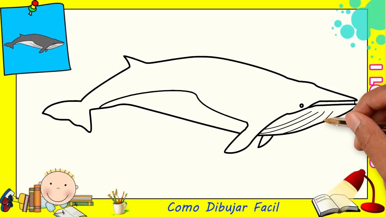 Como dibujar una ballena FACIL paso a paso para niños y principiantes 2