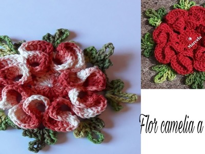 Flor a crochet con hilo matizado paso a paso super Fácil.