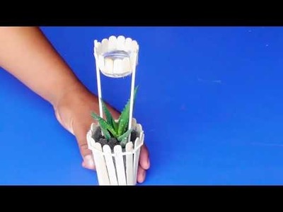 Aloe vera en maceta de vaso reciclado y palitos de helado - Como hacer macetas recicladas creativas