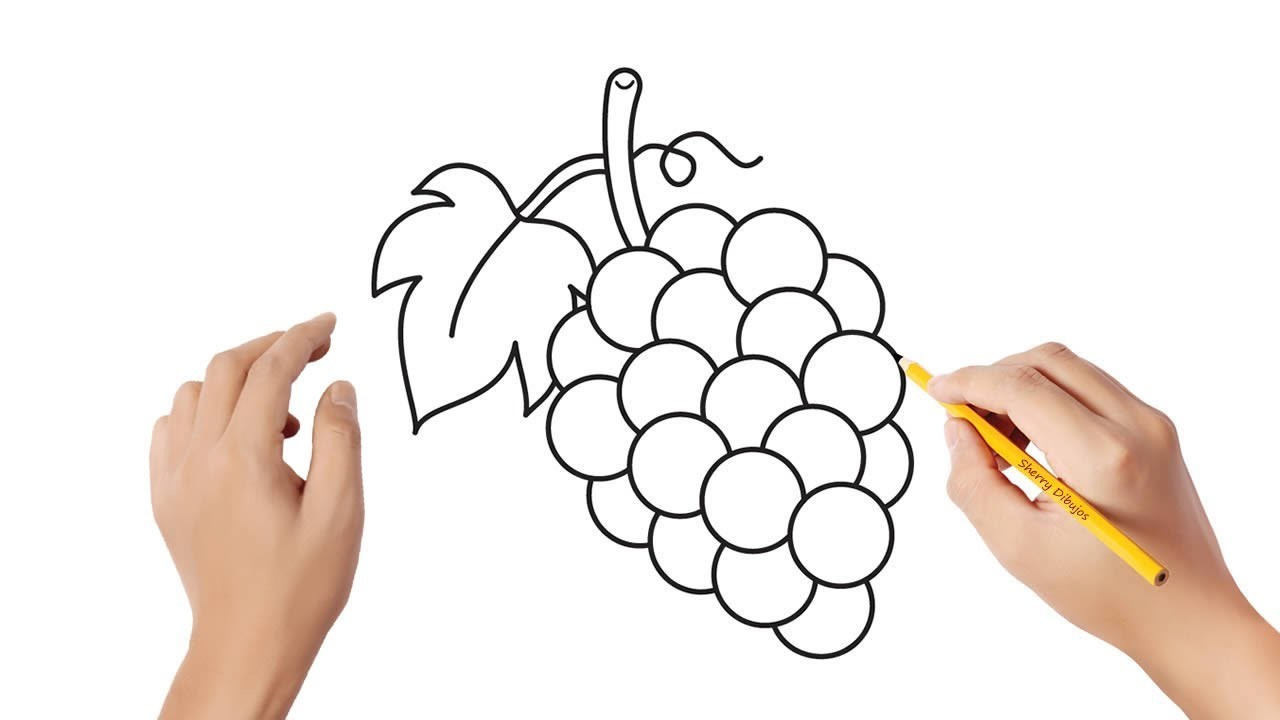 Cómo dibujar uvas | Dibujos sencillos