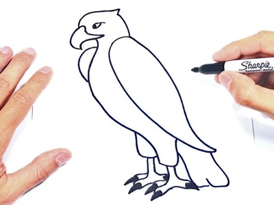 Cómo dibujar un Aguila Paso a Paso y fácil