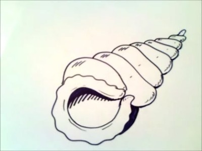 Como dibujar un caracol de mar | como dibujar un caracol de mar paso a paso