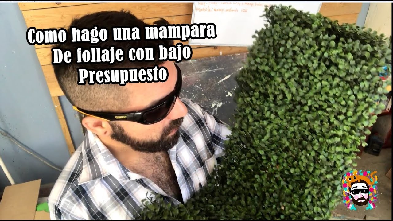 Como hago mamparas de follaje sin gastar mucho