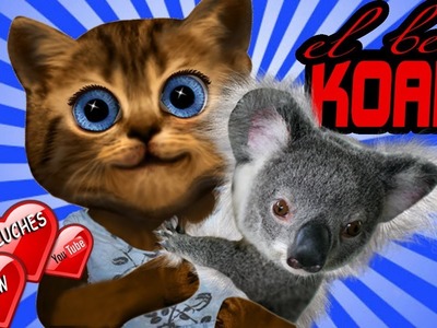 Koalas bebes | animales salvajes para niños con sonidos | sonido del koala | koala gritando
