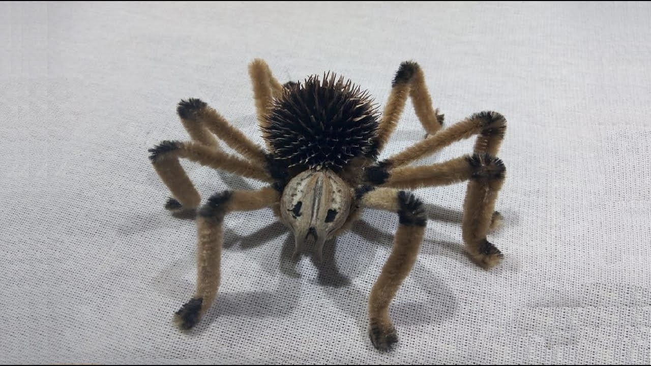 Como hacer una tarantula facil con limpiapipas y semillas