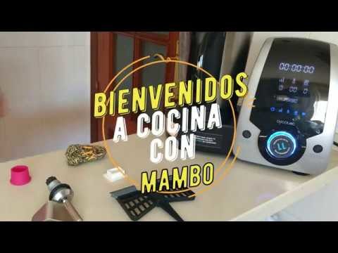 Consejos Básicos, Ayuda y Como utilizar el Robot de Cocina Mambo Cecotec.