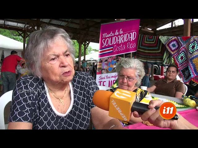 ¡Conozca a las arañitas tejedoras de Ciudad Colón!