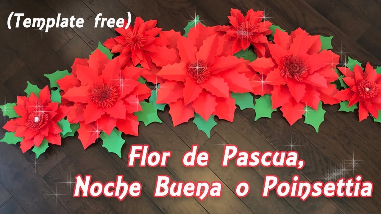 Flor gigante Noche buena, Pascua o Poinsettia. (Template free) (Plantilla gratis)