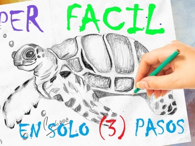 Tortuga marina aprende como dibujar 2021 - (FACILES PASOS) - FACIL ARTE