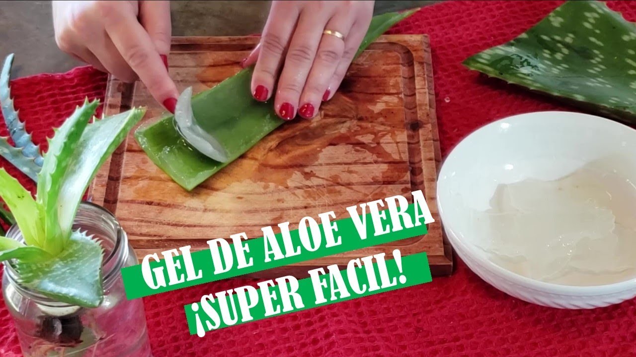 Cómo obtener Gel de Aloe Vera casero y natural - Paso a paso - ¡Super fácil! | DIY | Tutorial