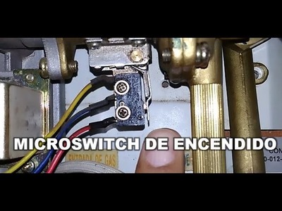 Reparacion de Calentador Bosch Microswitch de Encendido