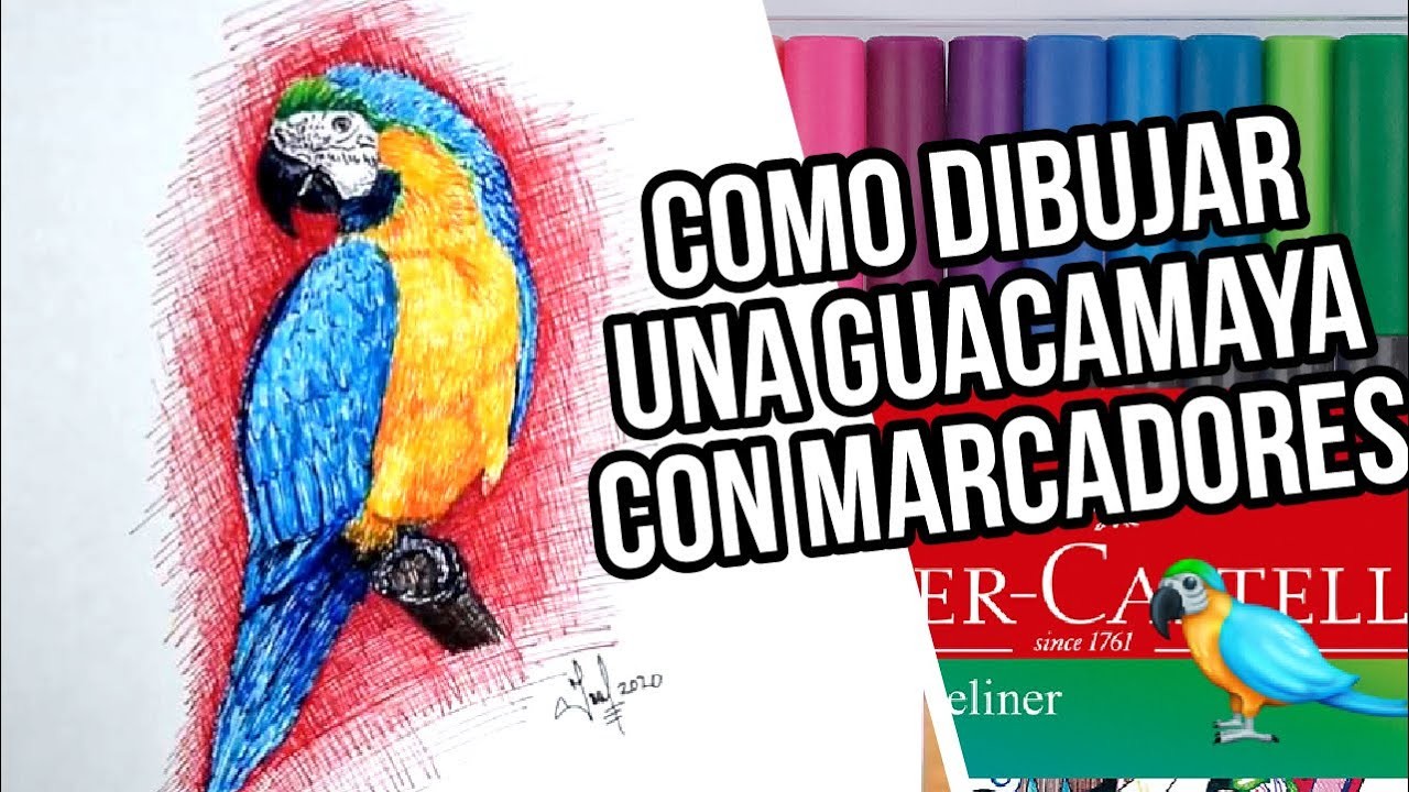 CÓMO DIBUJAR UNA GUACAMAYA PASO A PASO CON MARCADORES ????