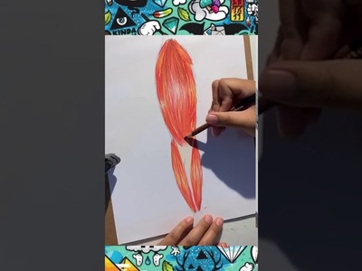 Como dibujar y colorear un Musculo, Pasos