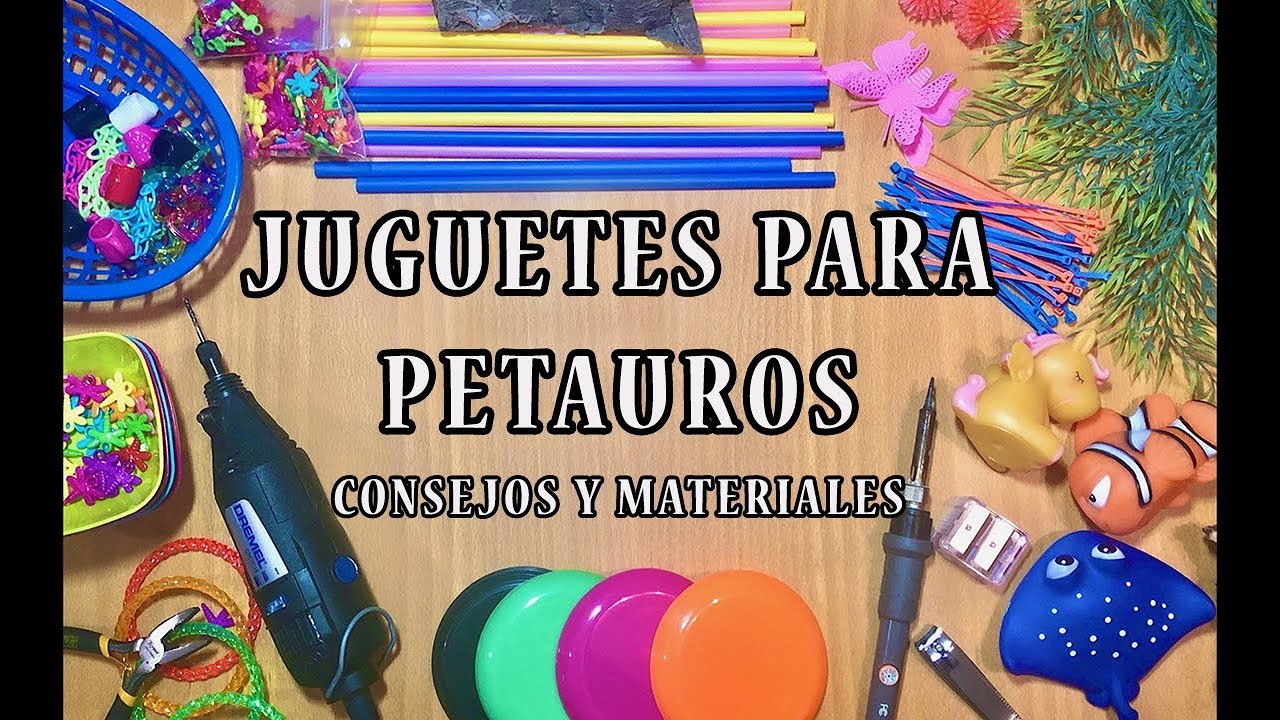 Consejos y materiales para hacer juguetes a los petauros.sugar glider