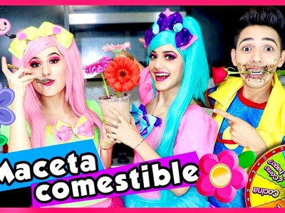 NOS COMIMOS UNA MACETA. SHOW PIEDRA PAPEL O TIJERA. MACETA COMESTIBLE. PRIMAVERA 2020. COMIENDO
