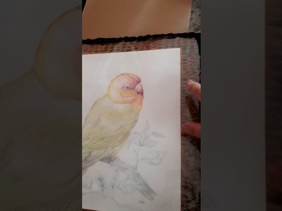 Talleres de tejidos abrazos de Amor