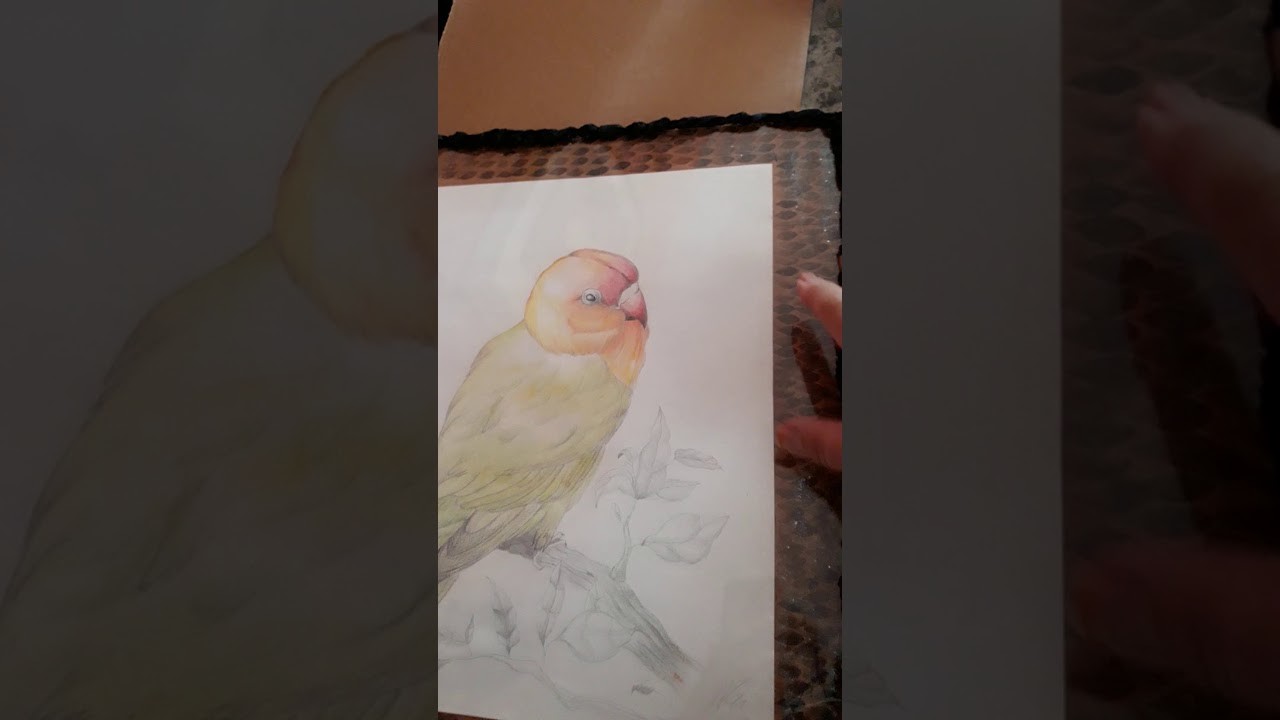 Talleres de tejidos abrazos de Amor