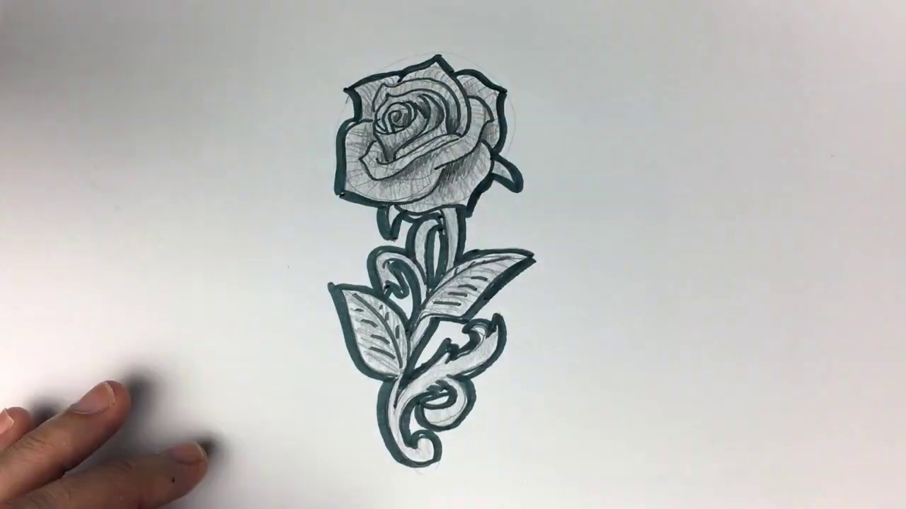 Cómo dibujar una rosa de forma fácil y paso a paso - Timelapse