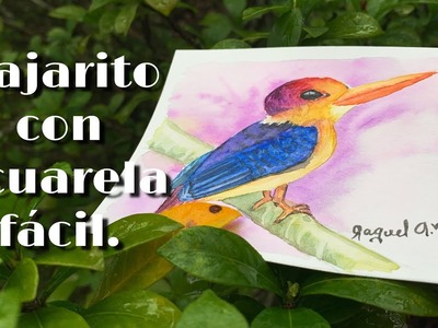 Cómo pintar un pajarito con acuarela pasó a paso fácil. Bird with watercolour (Acuarela con Abi)