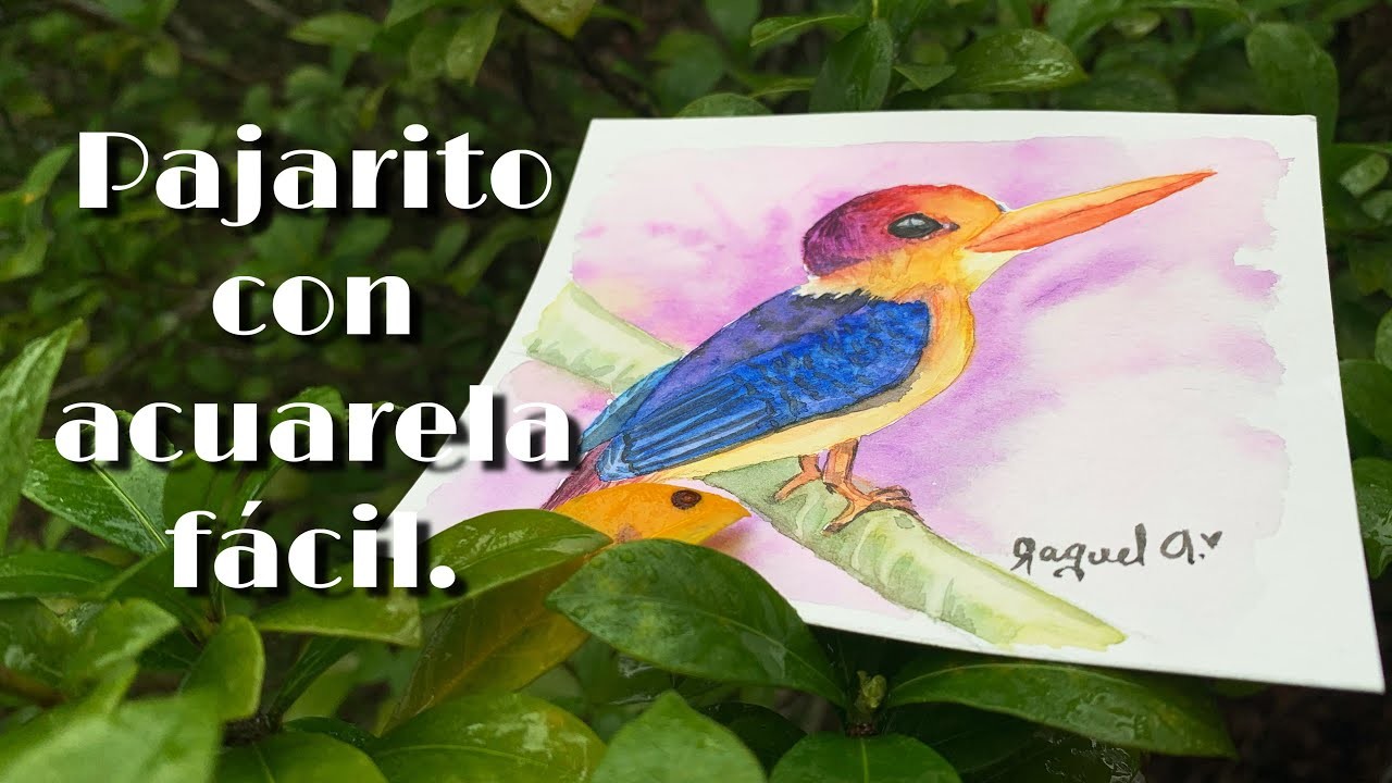 Cómo pintar un pajarito con acuarela pasó a paso fácil. Bird with watercolour (Acuarela con Abi)