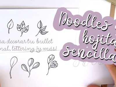 Dibujos para el bullet journal o lettering: hojas sencillas
