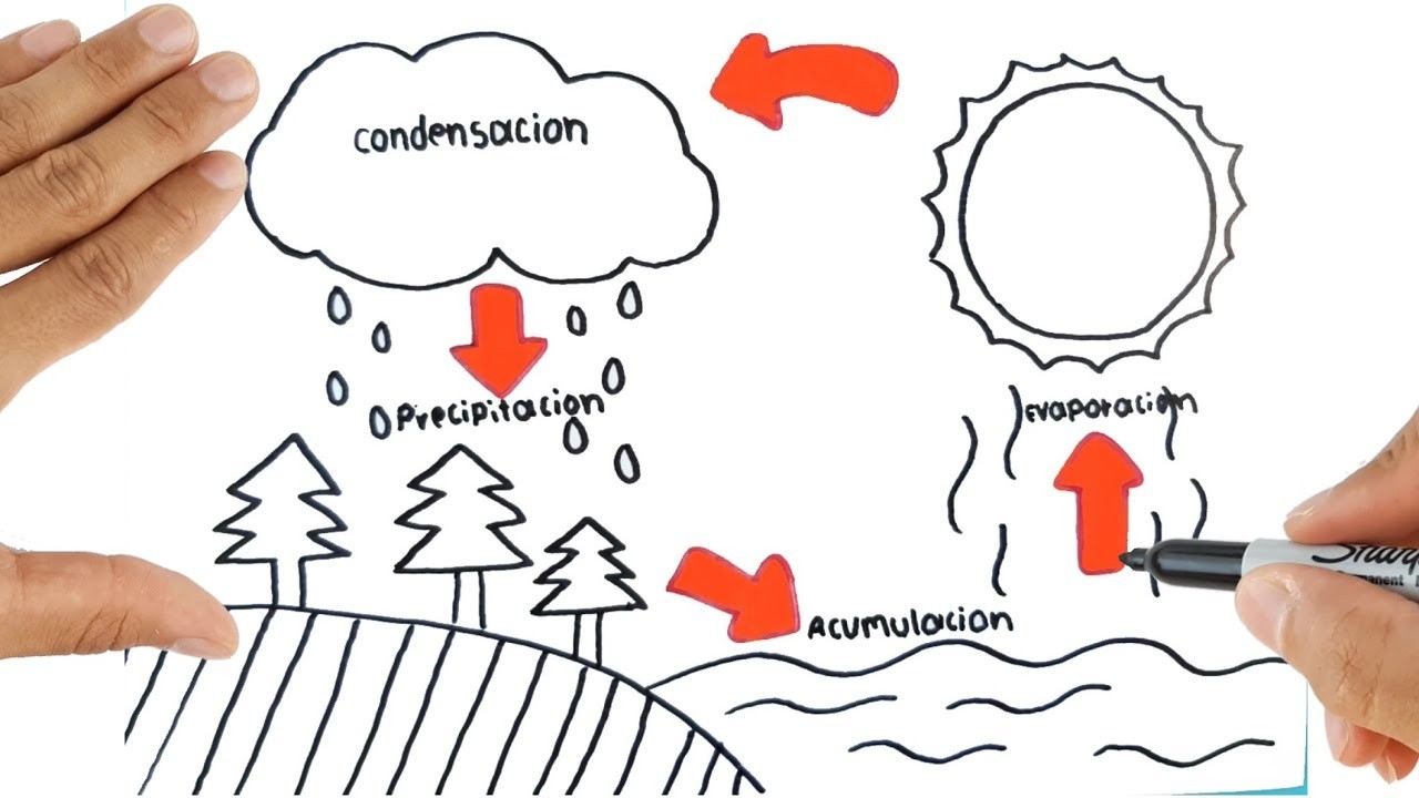 El ciclo del Agua Aprende a Hacer Ciclo del Agua Acumulación Evaporación Condensación Precipitación
