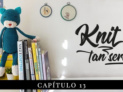 Knit tan Seria - Cap. 13 - Book Tour y Cuarentín Amineko
