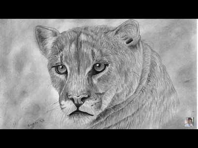 Puma ( Dibujo realista a lápiz y boligrafo) | Puma (Realistic pencil and pen drawing) |