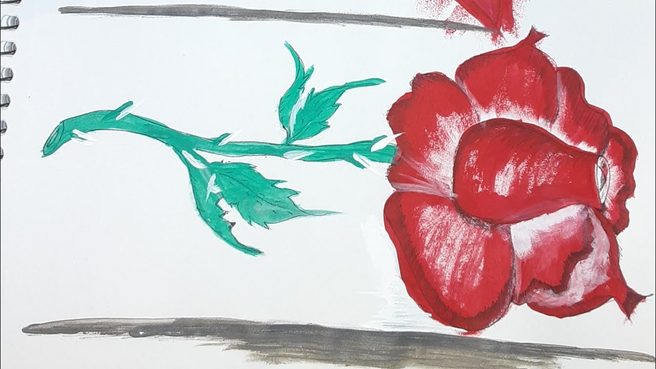 Rosa y corazón Dibujo????????‍????