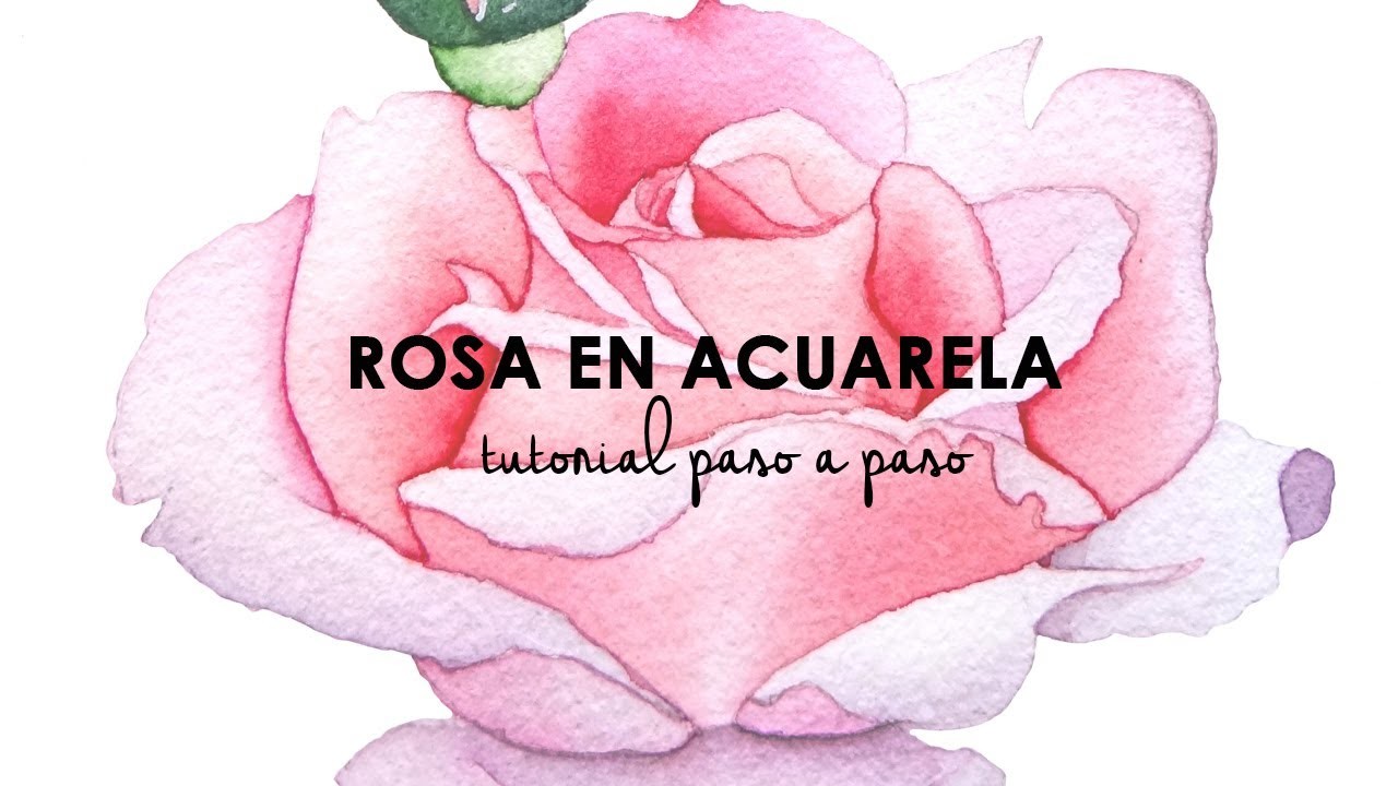 [Tutorial paso a paso] Cómo pintar una flor con Acuarelas - Rosas