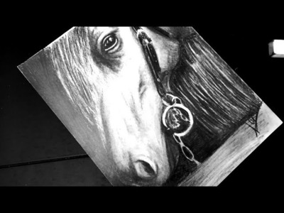 Cómo dibujar un caballo a lapiz  Carlos DOG. Dibujos a lapiz