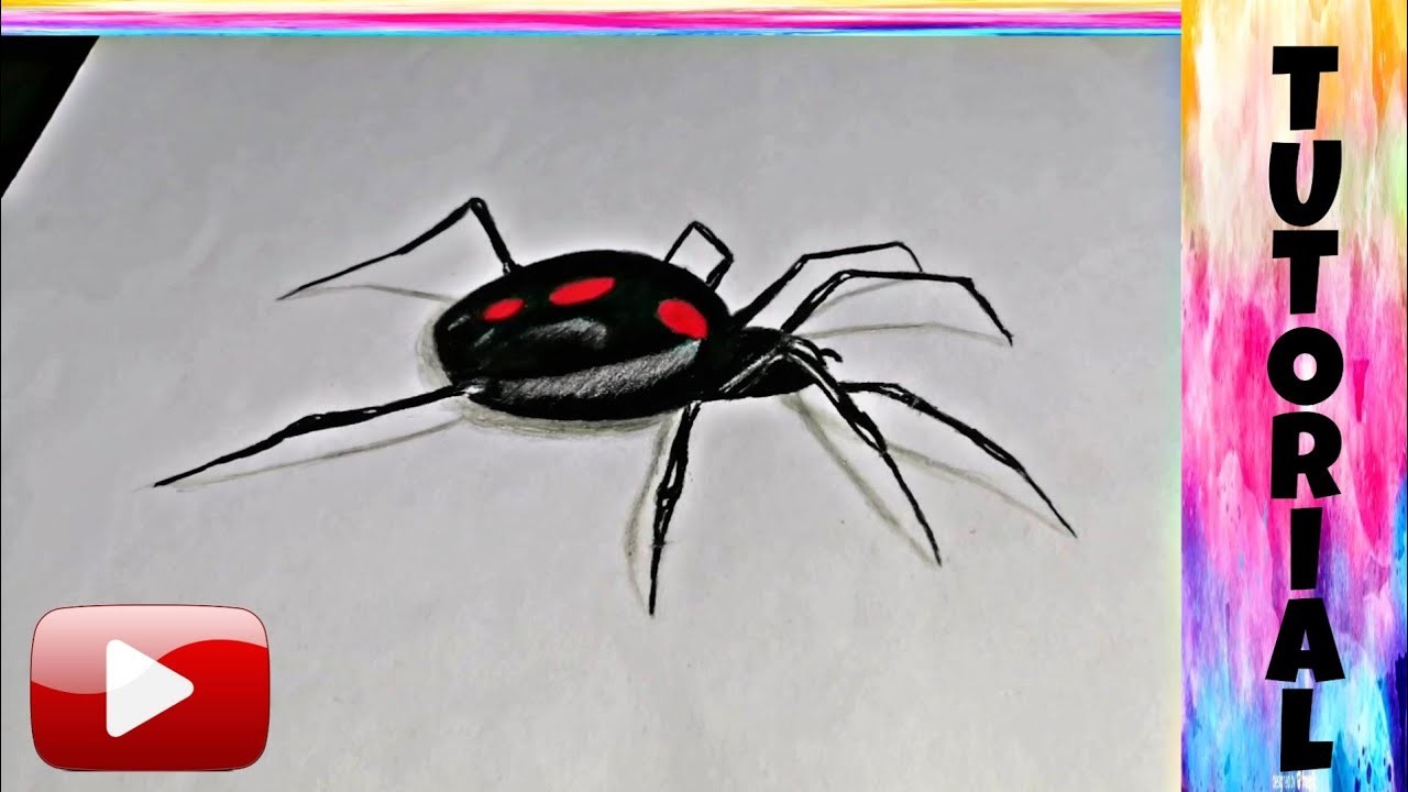 Tutorial: Como dibujar una Araña Realista con lapices de colores