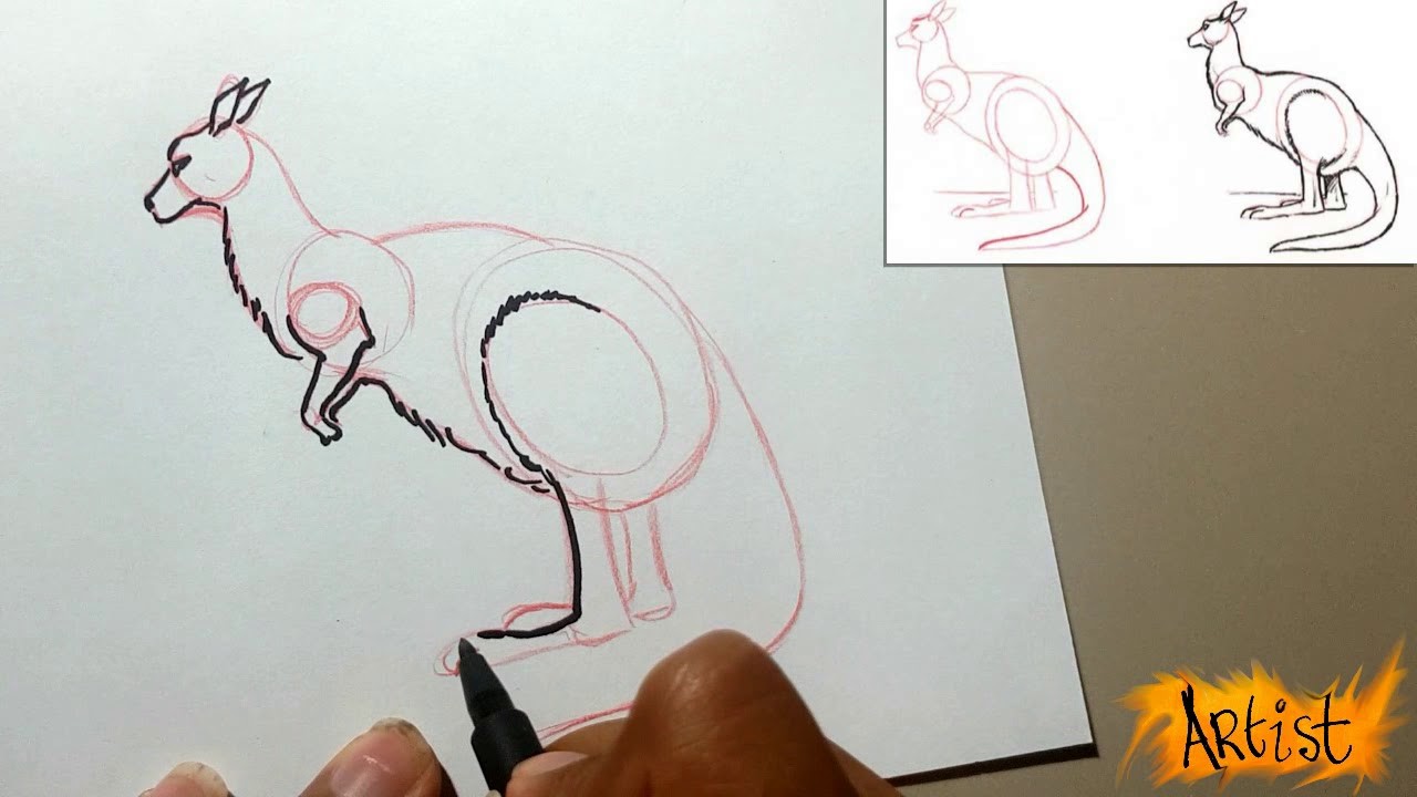 Como dibujar un canguro (método fácil )how to draw a kangaroo