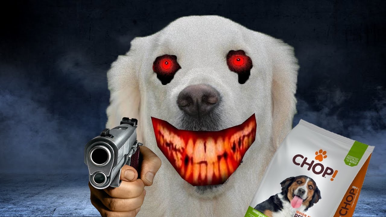 Creepypasta "El Perro Maldito"