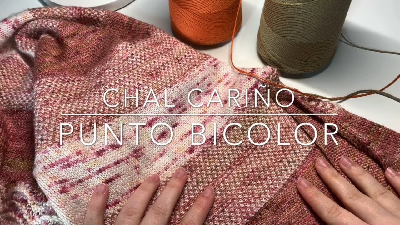 Punto bicolor | Tutorial Chal Cariño