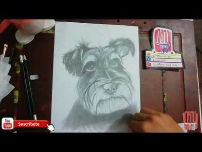 Como dibujar un PERRO REALISTA a lapiz PASO A PASO. How to draw a realistic dog  -Speed drawing-