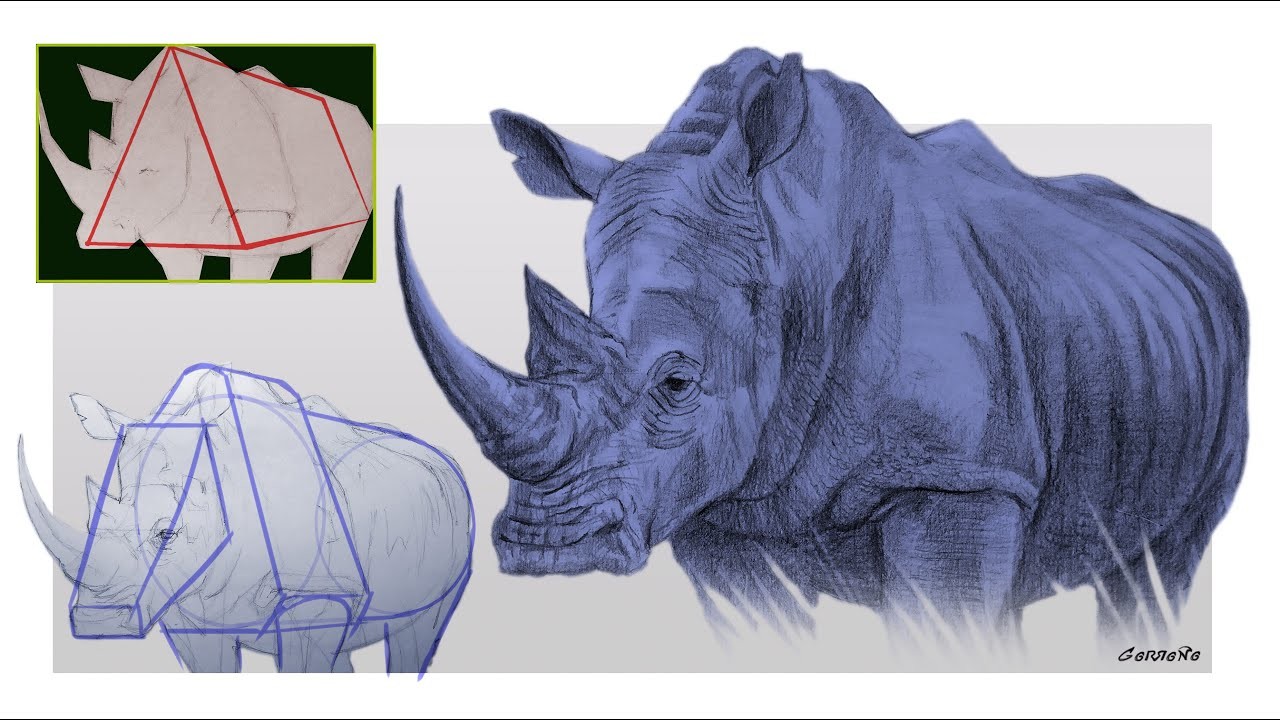 TUTORIAL DE DIBUJO A LÁPIZ_Dibujo fácil y rápido de un rinoceronte. Bases del dibujo constructivo