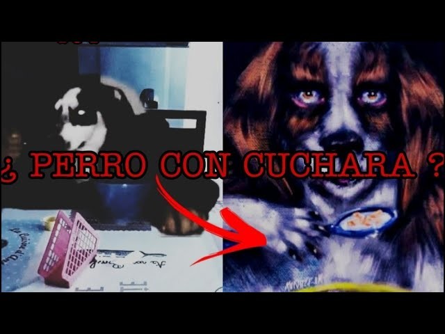 ¿ UN PERRO CON CUCHARA ?. CREEPYPASTA